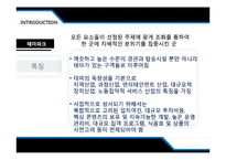 [관광사업론] 도쿄 디즈니랜드(Tokyo Disneyland)와 에버랜드(Everland) 비교 분석-5