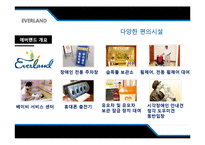 [관광사업론] 도쿄 디즈니랜드(Tokyo Disneyland)와 에버랜드(Everland) 비교 분석-12