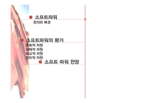 [중국의대외관계] 중국의 소프트파워 외교-3
