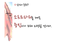 [중국의대외관계] 중국의 소프트파워 외교-13