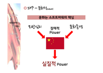 [중국의대외관계] 중국의 소프트파워 외교-14