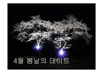 [관광홍보론] 일본의 벚꽃 축제와 경주 벚꽃 축제 비교 분석-3