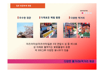 [관광홍보론] 일본의 벚꽃 축제와 경주 벚꽃 축제 비교 분석-8
