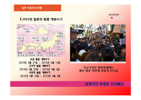 [관광홍보론] 일본의 벚꽃 축제와 경주 벚꽃 축제 비교 분석-10