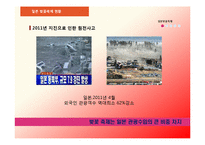 [관광홍보론] 일본의 벚꽃 축제와 경주 벚꽃 축제 비교 분석-11