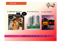 [관광홍보론] 일본의 벚꽃 축제와 경주 벚꽃 축제 비교 분석-18