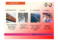 [관광홍보론] 일본의 벚꽃 축제와 경주 벚꽃 축제 비교 분석-20