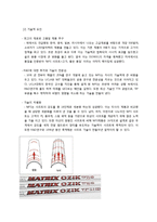 [스포츠산업개론] MFS의 기업 성공 요인 분석-7