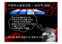 [소비자행동론] 구매의사 결정과정 요인-10