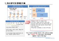 아모레퍼시픽(AMORE PACIFIC)의 Little Farm 브랜드 개발 및 유아 화장품 시장 진출 전략-3