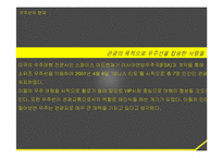 [관광교통론] 관광교통으로서의 우주관광-5