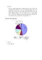 [경영학원론] FILA SPORT(휠라)의 경영사례 분석-8