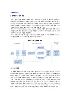 전략정보시스템) 전략정보시스템의 개발과 전략적 정보시스템 계획방법론-2