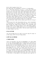 전략정보시스템) 전략정보시스템의 개발과 전략적 정보시스템 계획방법론-4