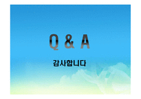 [녹색물류] 그린로지스틱의 역설(영문)-11