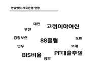 [증권시장의이해] 저축은행 사태로 본 IMF이후 규제완화 문제점과 해결방안-5