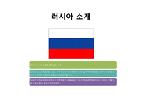 [해외투자론] 러시아의 투자유치전략 및 사례 조사-3