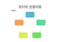 [해외투자론] 러시아의 투자유치전략 및 사례 조사-6