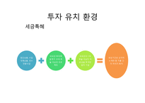 [해외투자론] 러시아의 투자유치전략 및 사례 조사-12