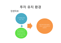 [해외투자론] 러시아의 투자유치전략 및 사례 조사-13
