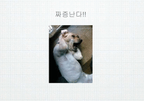 [비즈니스커뮤니케이션] 이해와 커뮤니케이션-16