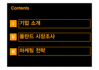 [마케팅관리] 장수돌침대의 폴란드 진출 마케팅 전략-2