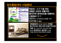 [마케팅관리] 장수돌침대의 폴란드 진출 마케팅 전략-4