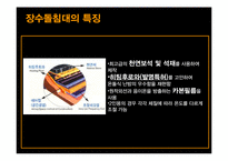 [마케팅관리] 장수돌침대의 폴란드 진출 마케팅 전략-8