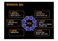 [마케팅관리] 장수돌침대의 폴란드 진출 마케팅 전략-9