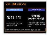 [마케팅관리] 장수돌침대의 폴란드 진출 마케팅 전략-12