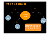 [마케팅관리] 장수돌침대의 폴란드 진출 마케팅 전략-13