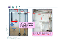 [화학공학] 이산화탄소흡수(Gas Absorption Column)-13