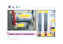 [화학공학] 이산화탄소흡수(Gas Absorption Column)-17