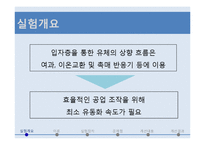 [화학공학실험및설계] 유동화 실험 설계-3