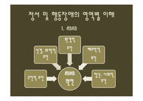 [특수교육학개론] 정서 및 행동장애-15