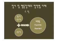[특수교육학개론] 정서 및 행동장애-19