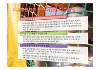 [아동교육] 실외놀이에 대한 이해-10