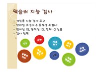 [교육심리] 정신지체-17