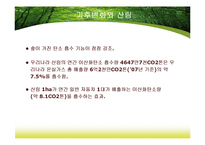 [농업법개론] 산림법-7