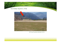 [농업법개론] 산림법-16