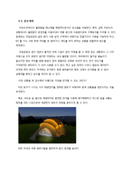 [창의설계] 신재생 에너지를 이용한 창업 설계(염료감응태양전지)-12