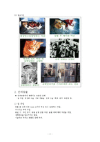 동물권의 이해와 고찰-3