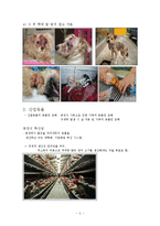 동물권의 이해와 고찰-5