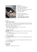동물권의 이해와 고찰-7