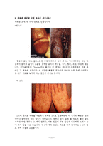 올바른 성 인식을 위한 성의 이해와 분석-11