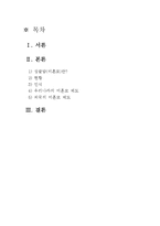 싱글맘의 이해와 현황에 따른 문제점의 해결 방안-2