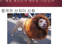 표절에 대한 고찰-13