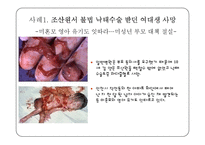 [기독교의이해] 사회적으로 이슈가 되고있는 환경,생명윤리의 사례-12