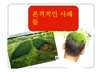[기독교의이해] 사회적으로 이슈가 되고있는 환경,생명윤리의 사례-16