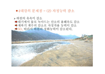 [기독교의이해] 사회적으로 이슈가 되고있는 환경,생명윤리의 사례-19